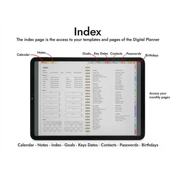 Undated Daily Planner for iPad Monday Sunday Starts